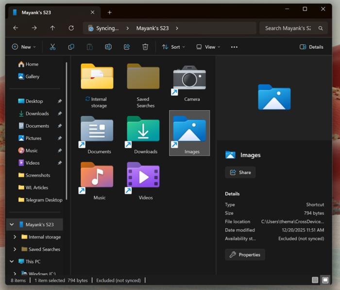 文件資源管理器中Android的媒體存儲